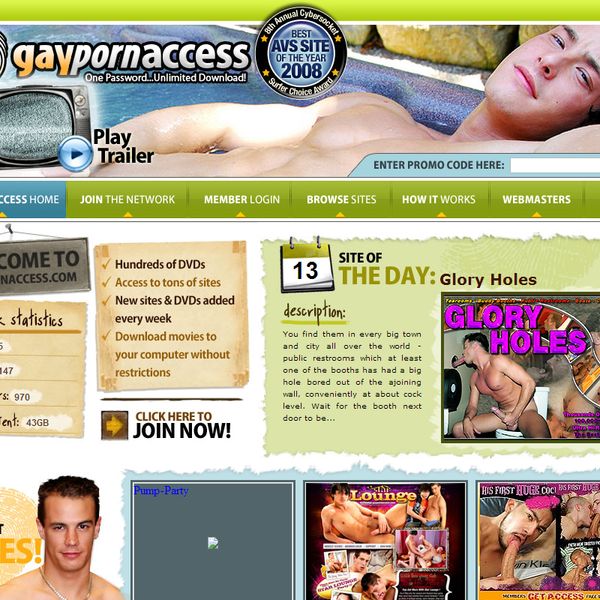 wwwgaypornaccess.com